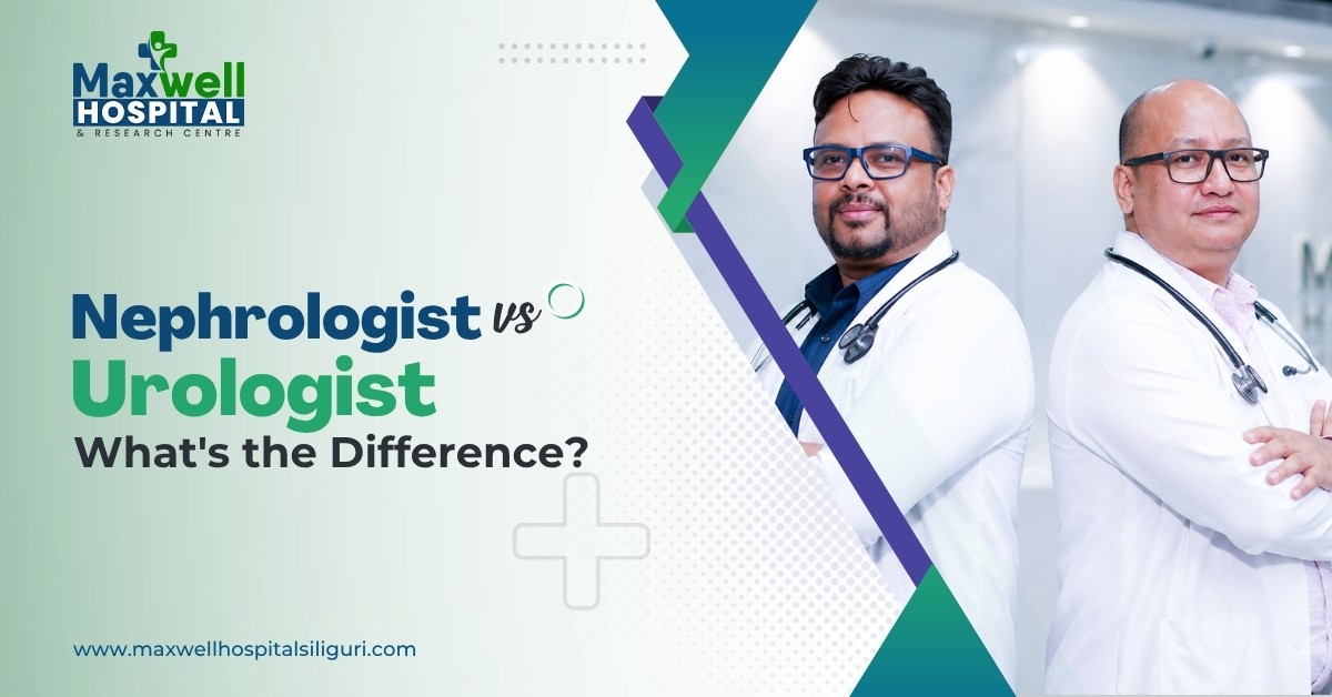 Nephrologist vs Urologist: What's the difference