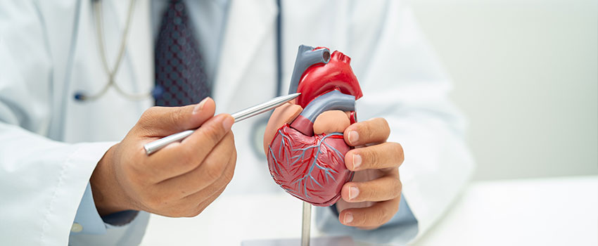 Cardiologist Heart Specialist Hospital in Siliguri