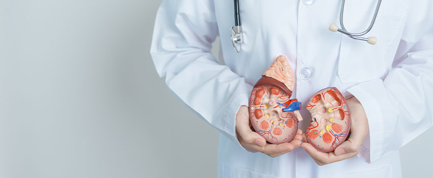 Kidney Stone Treatment in Siliguri