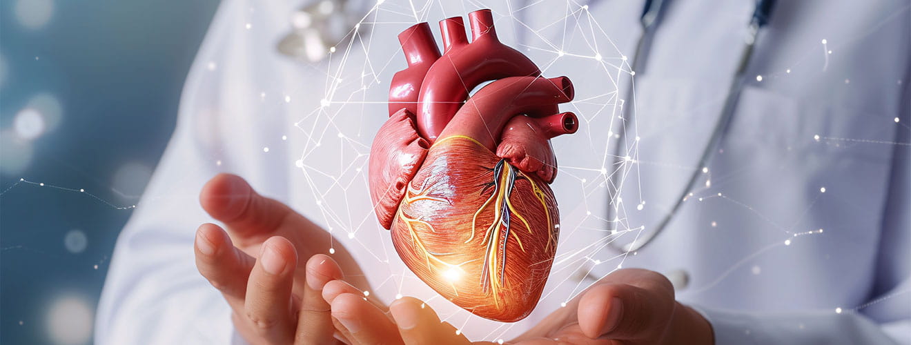 Cardiology