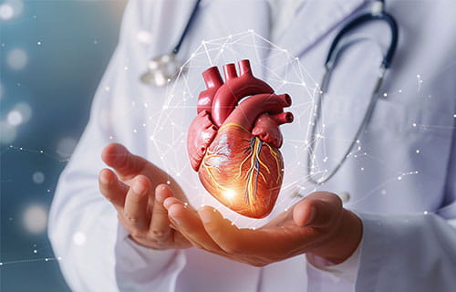 Cardiology