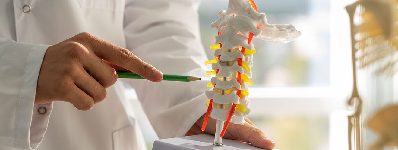 Orthopedics