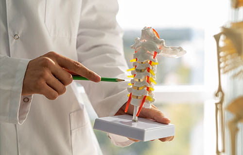 Orthopedics