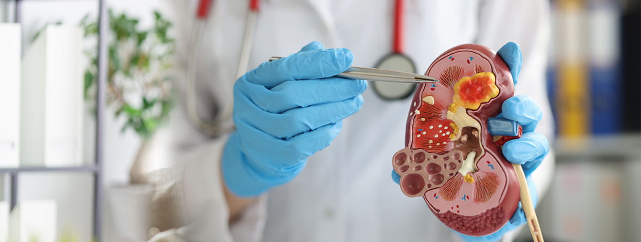 Nephrology